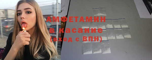 сатива Бердск