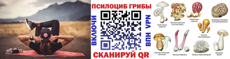 Галлюциногенные грибы Psilocybe  Купить где  Добрянка 